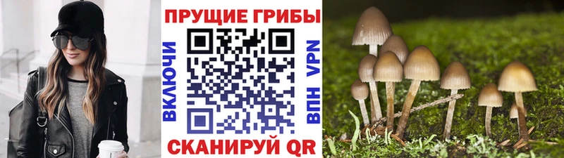 кракен зеркало  Лабытнанги  Галлюциногенные грибы Psilocybe  продажа наркотиков 