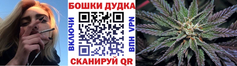 сколько стоит  Лабытнанги  это Telegram  Марихуана сатива 